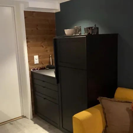 Διαμέρισμα Charming With Lodgefeeling Hemsedal