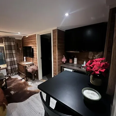 Charming With Lodgefeeling شقة *